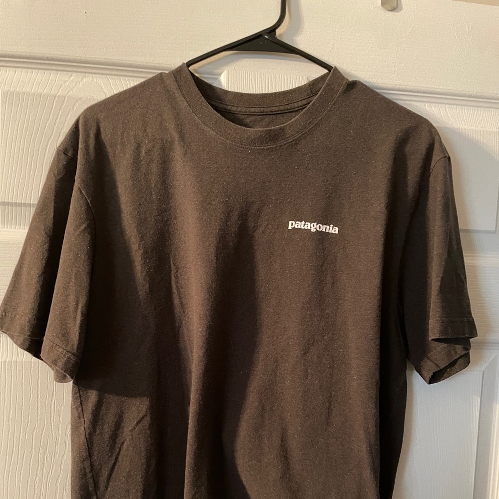 Mens Patagonia